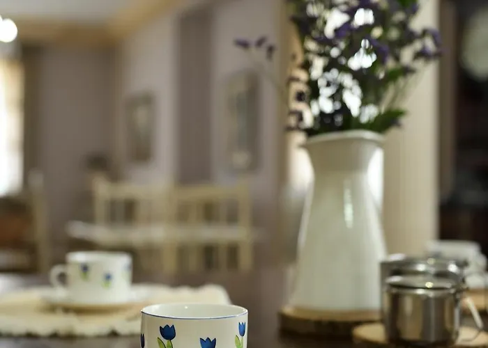 El Camino De Yuste *